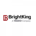 brightking logo